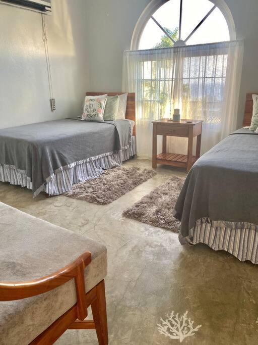 Coastal Beauty - Beautiful Penthouse Condo In Ocho Rios Dış mekan fotoğraf